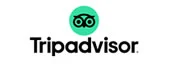 Tripadvisor logo with owl icon and text