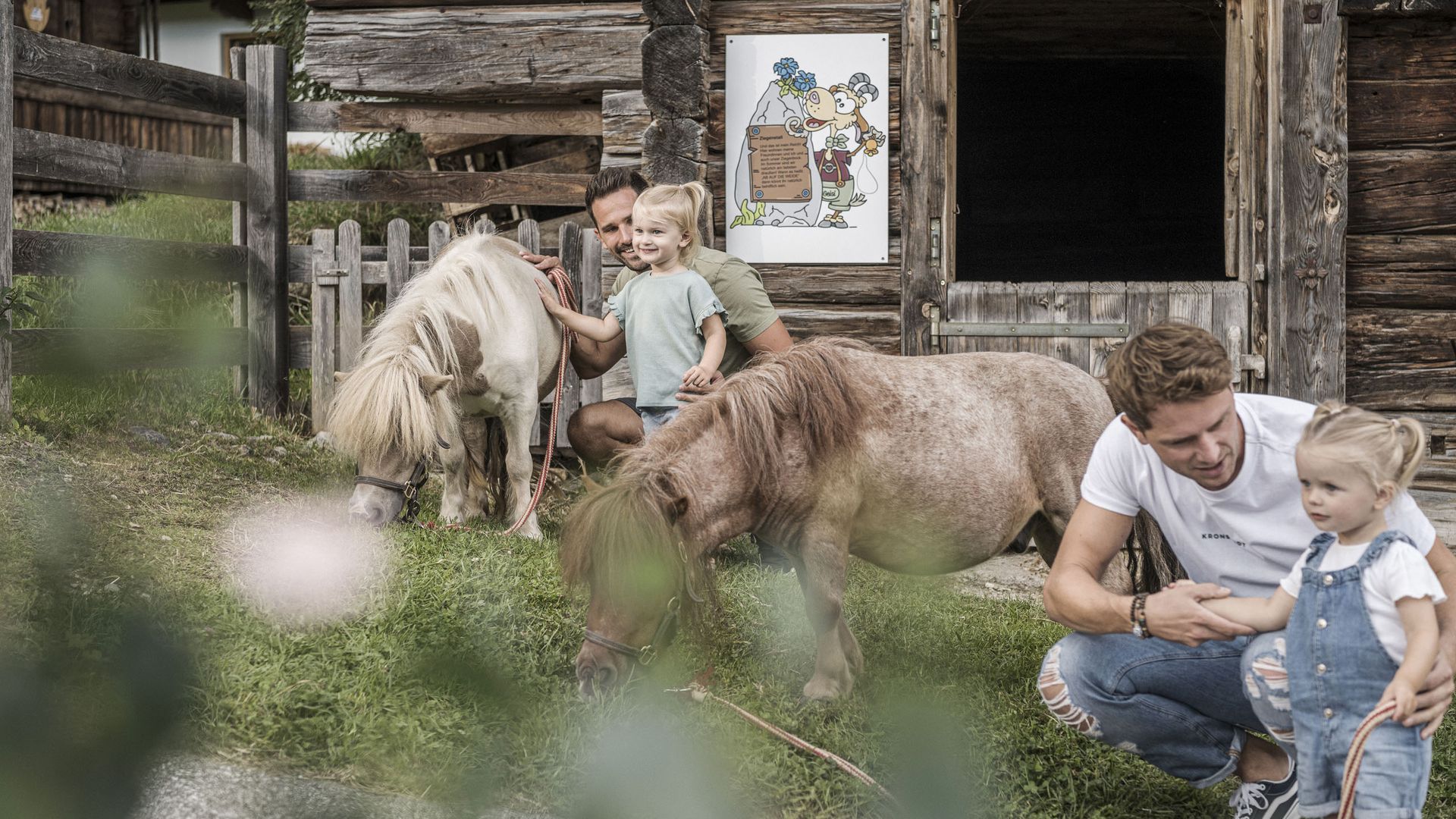 Two fathers with toddlers and two ponies near a wooden barn