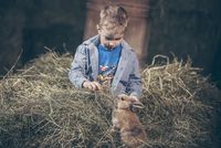 Kind füttert Kaninchen mit Heu in einem rustikalen Stall